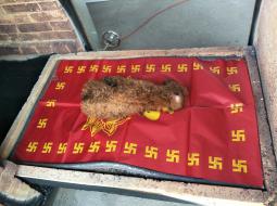 宠物的尸体如果不火化会造成什么样的危害呢？