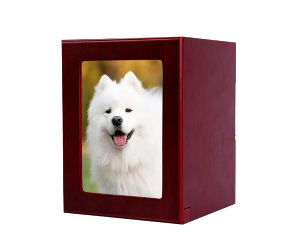 红木宠物骨灰盒